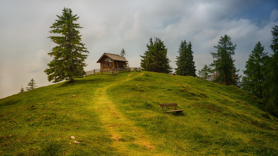 Débroussailler sa pelouse : nos astuces pour une belle pelouse en été